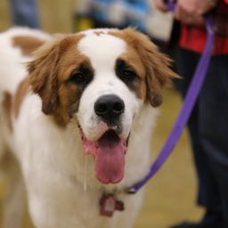 photograph by PeterW